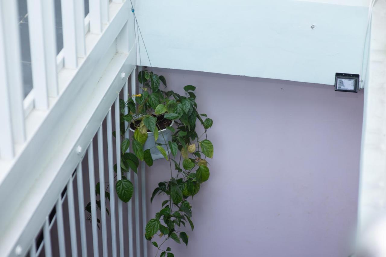 Megi Homestay Nha Trang Zewnętrze zdjęcie